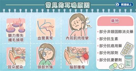 頭轉動耳朵有聲音|健康網》耳鳴、腦鳴傻傻分不清 醫教辨別細節